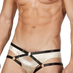 Ali Express Panties The Panty Strap Harness 7 Ali Express Panties The Panty Strap Harness