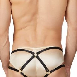 Ali Express Panties The Panty Strap Harness 6 Ali Express Panties The Panty Strap Harness
