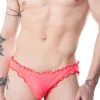 Venetian Plush Frilly Panty Panties