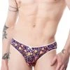 Venetian Katy Panty