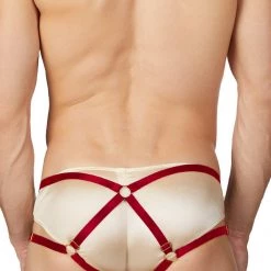 Ali Express The Panty Strap Harness Panties