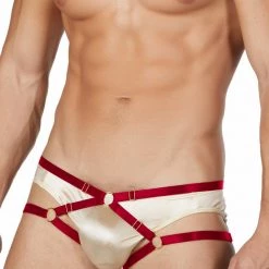 Ali Express The Panty Strap Harness Panties